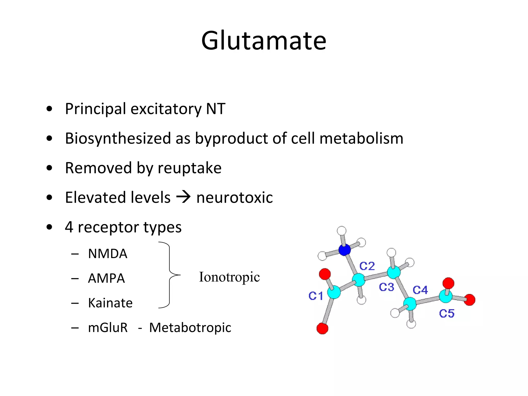 Glutamate
• Principal excitatory NT
• Biosynthesized as byproduct of cell metabolism
• Removed by reuptake
• Elevated levels  neurotoxic
• 4 receptor types
– NMDA
– AMPA
– Kainate
– mGluR - Metabotropic
Ionotropic
 