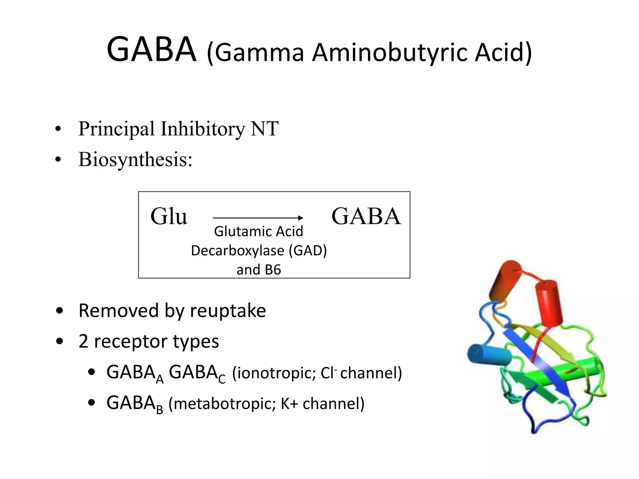 GABA (Gamma Aminobutyric Acid)
• Principal Inhibitory NT
• Biosynthesis:
• Removed by reuptake
• 2 receptor types
• GABAA GABAC (ionotropic; Cl- channel)
• GABAB (metabotropic; K+ channel)
Glu GABA
Glutamic Acid
Decarboxylase (GAD)
and B6
 