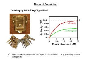 Theory of Drug Action
Corollary of ‘Lock & Key’ Hypothesis
 Does not explain why some ‘keys’ open doors partially? …… e.g., partial agonists or
antagonists
O
O
O
H O
OH
 