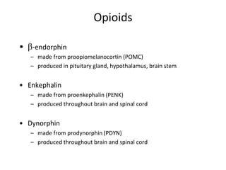 Opioids
• -endorphin
– made from proopiomelanocortin (POMC)
– produced in pituitary gland, hypothalamus, brain stem
• Enkephalin
– made from proenkephalin (PENK)
– produced throughout brain and spinal cord
• Dynorphin
– made from prodynorphin (PDYN)
– produced throughout brain and spinal cord
 