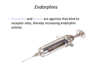 Endorphins
• Morphine and heroin are agonists that bind to
receptor sites, thereby increasing endorphin
activity
 