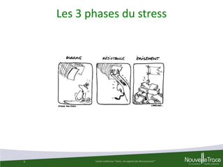 Les 3 phases du stress

4

Extrait conférence "Stress : les apports des Neurosciences""

 