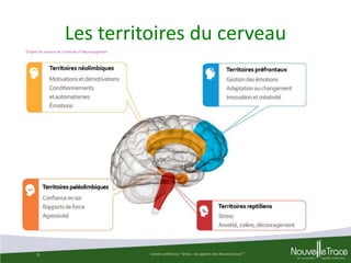 Les territoires du cerveau
D’après les travaux de l’Institute of NeuroCognitism

6

Extrait conférence "Stress : les apports des Neurosciences""

 