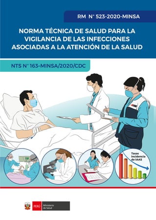 NTS_N163_IAAS_MINSA-2020-CDC.pdf