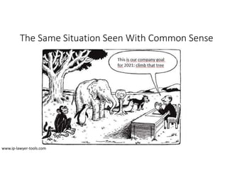 This is our company goal
for 2021: climb that tree
The Same Situation Seen With Common Sense
www.ip-lawyer-tools.com
 