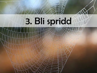 3. Bli spridd

 