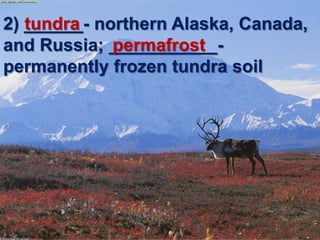 2) ______- northern Alaska, Canada, and Russia; ___________- permanently frozen tundra soiltundrapermafrost