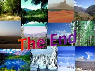The End