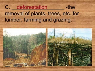 C. __________________ -the removal of plants, trees, etc. for lumber, farming and grazing. deforestation 