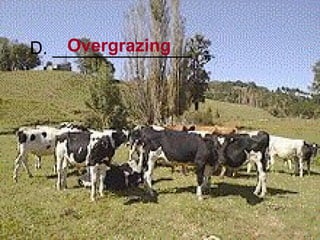 D. ______________ Overgrazing 