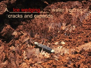 A.______________- water freezes in cracks and expands Ice wedging 