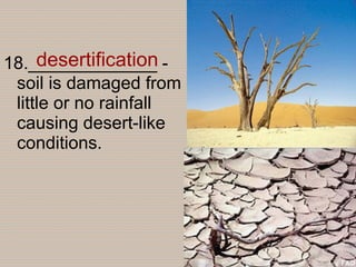 18._____________ - soil is damaged from little or no rainfall causing desert-like conditions. desertification 