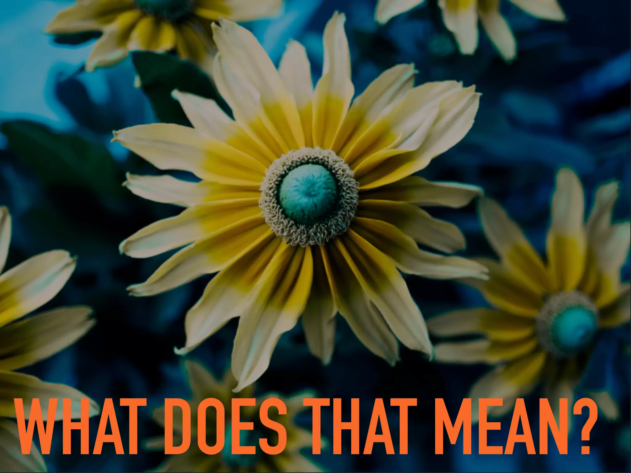 WHAT DOES THAT MEAN?
 