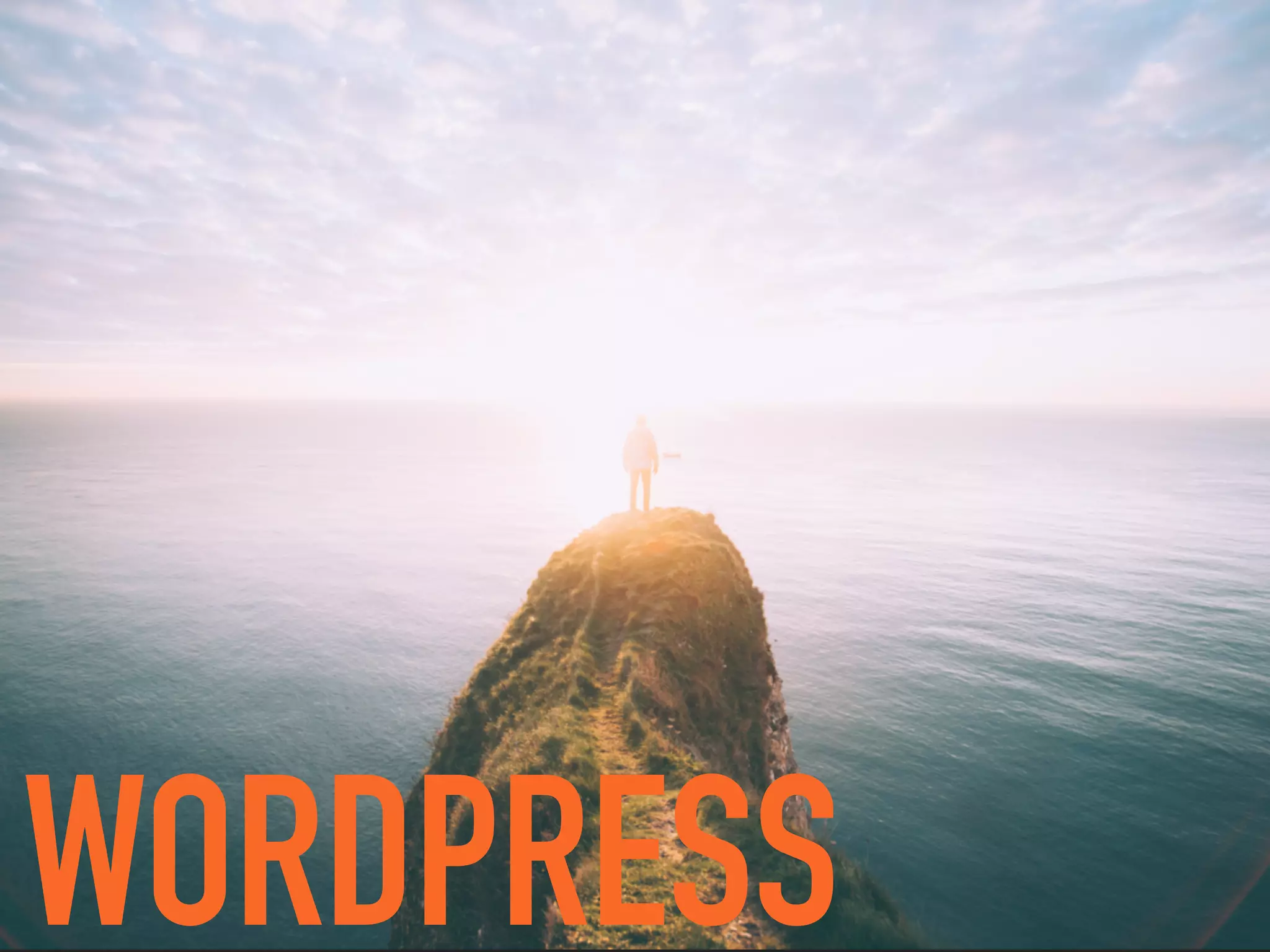 WORDPRESS
 