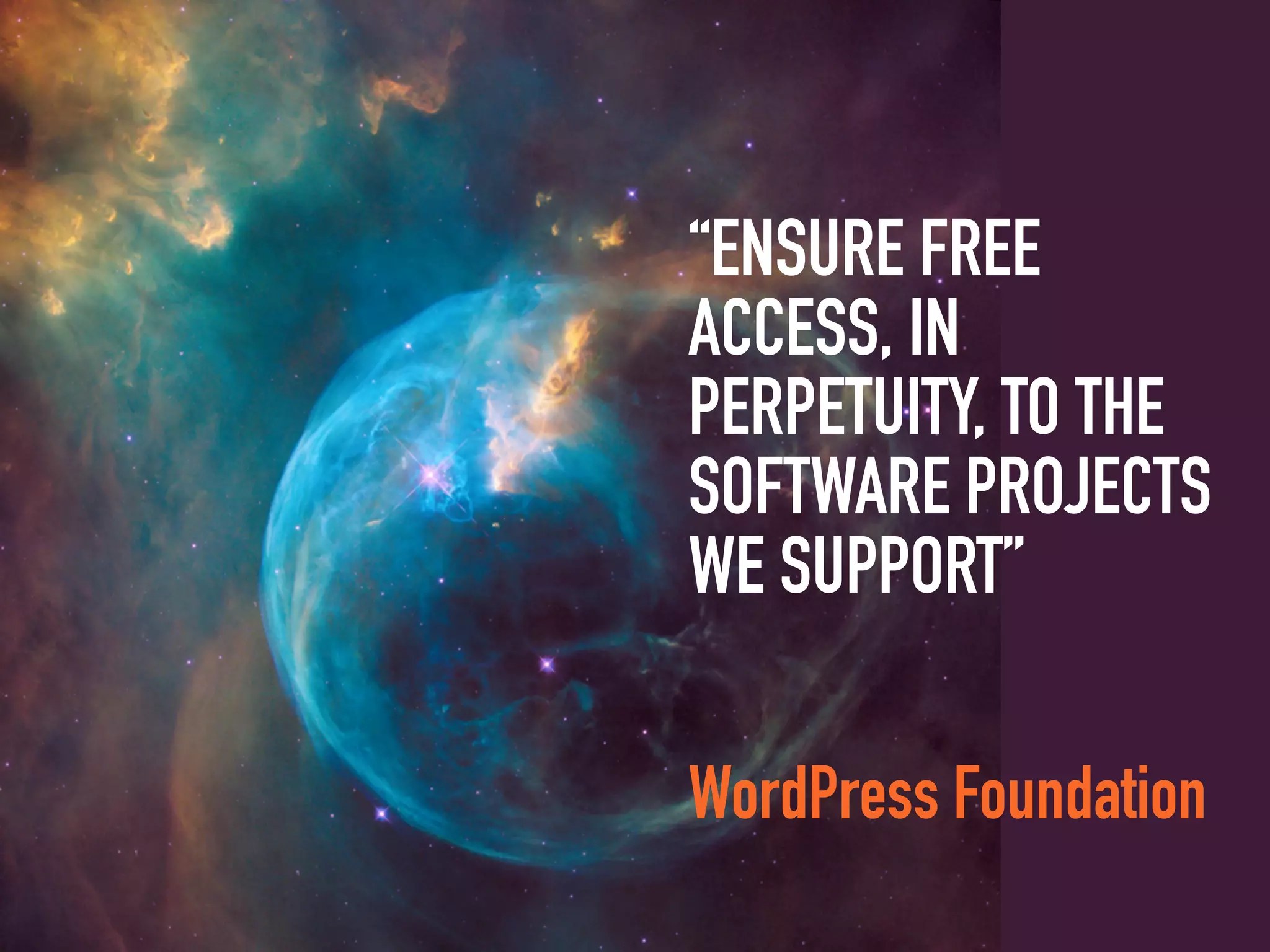 “ENSURE FREE
ACCESS, IN
PERPETUITY, TO THE
SOFTWARE PROJECTS
WE SUPPORT”
WordPress Foundation
 