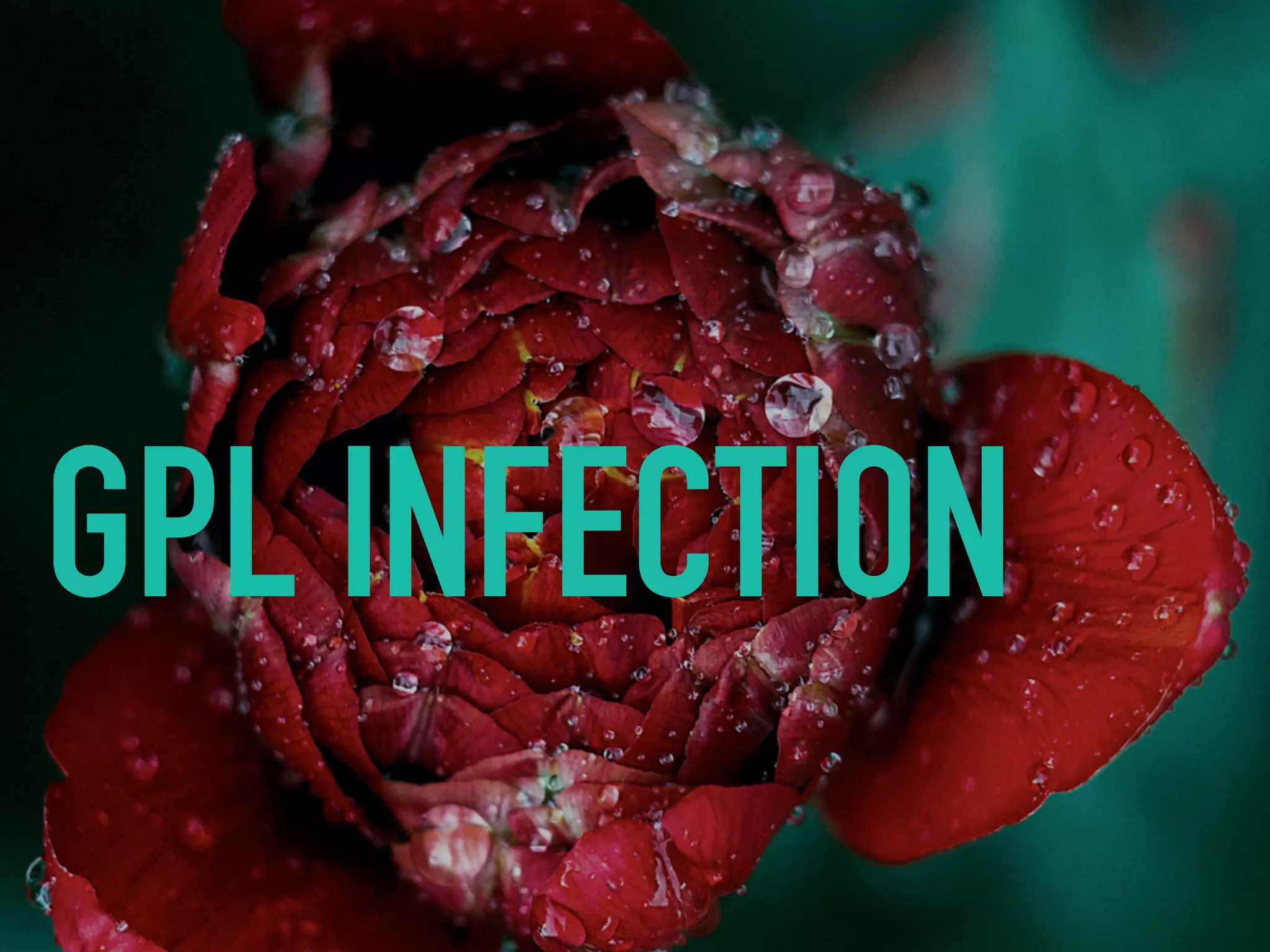 GPL INFECTION
 