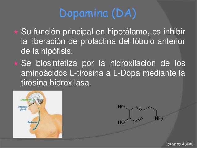 Metabolismo basal Consejos y Guía