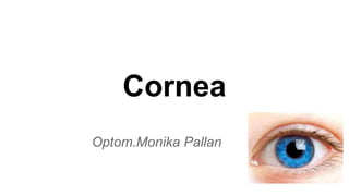 Cornea
Optom.Monika Pallan
 