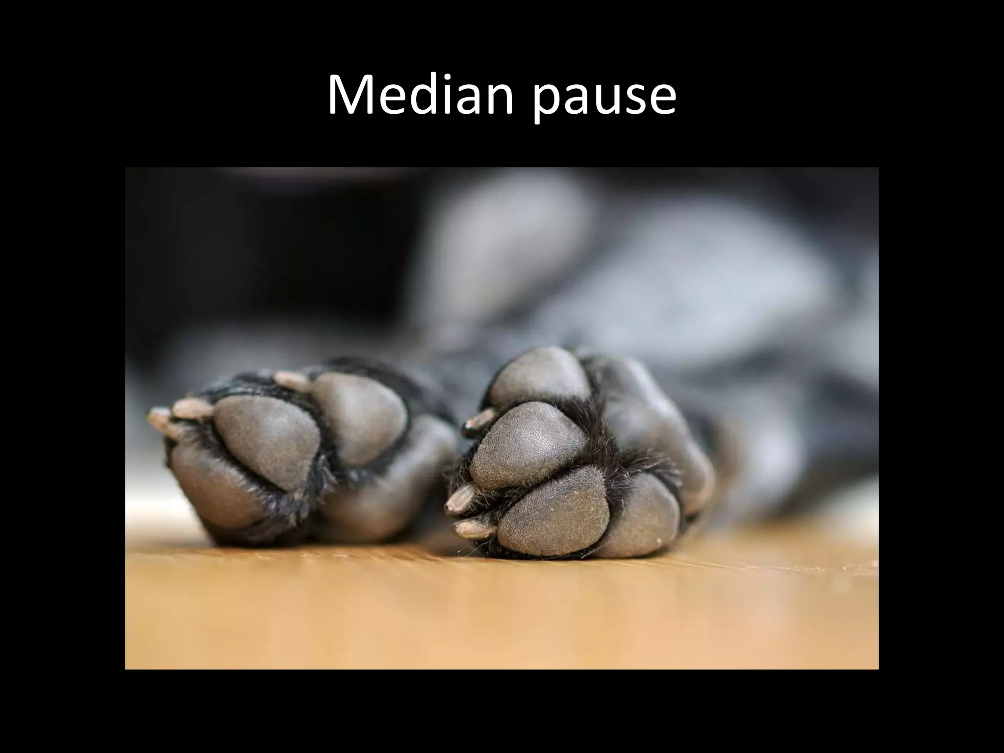 Median pause
 