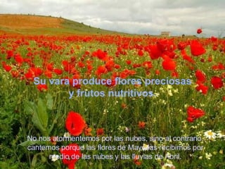 No nos atormentemos por las nubes, sino al contrario, cantemos porque las flores de Mayo las recibimos por medio de las nubes y las lluvias de Abril. Su vara produce flores preciosas y frutos nutritivos. 