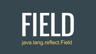 FIELDjava.lang.reflect.Field
 
