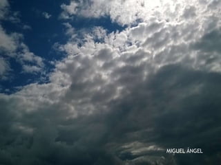 MIGUEL ÁNGEL
 