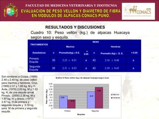 Evaluaci n De Peso Vell n Y Di metro De Fibra En M dulos De Alpacas Evaluaci n De Peso Vell n Y Di metro De Fibra En M dulos De Alpacas