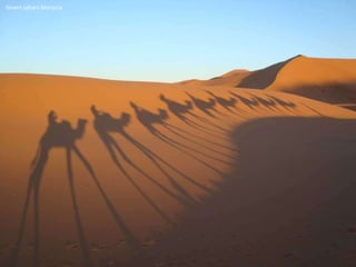 Desert sahara Morocco 
