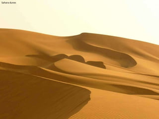 Sahara dunes 