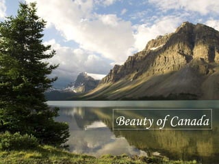 Beauty of Canada 
