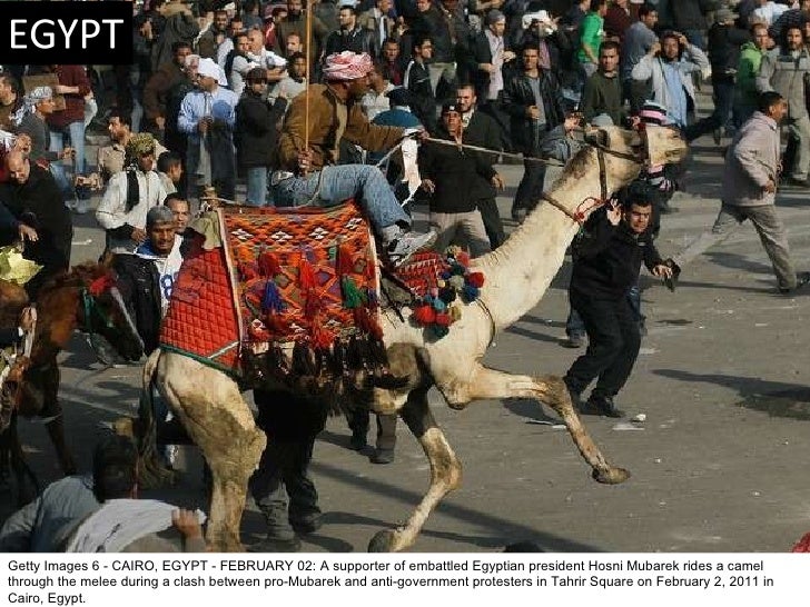 Watch Follow That Camel 4Shared Watch Follow That Camel 4Shared