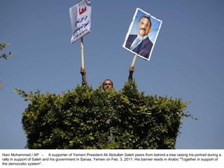 Hani Mohammed / AP  -  A supporter of Yemeni President Ali Abdullah Saleh peers from behind a tree raising his portrait during a rally in support of Saleh and his government in Sanaa, Yemen on Feb. 3, 2011. His banner reads in Arabic "Together in support of the democratic system". 