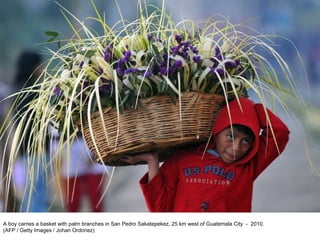 A boy carries a basket with palm branches in San Pedro Sakatepekez, 25 km west of Guatemala City  -  2010.  (AFP / Getty Images / Johan Ordonez)  