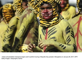 Indian schoolchildren dressed as tigers wait to perform during a Republic Day parade in Bangalore on January 26, 2011. AFP/
Getty Images / Dibyangshu Sarkar
 