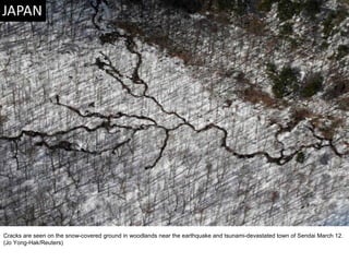 Cracks are seen on the snow-covered ground in woodlands near the earthquake and tsunami-devastated town of Sendai March 12. (Jo Yong-Hak/Reuters)  