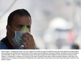 Getty Images - A Palestinian holds a cut onion agaisnt his nostrils to protect himself from tear gas being lobbed by Israeli soldiers during clashes with Palestinian stone throwers at the Israeli manned Qalandia checkpoint between Jerusalem and the West Bank city if Ramallah on May 15, 2011. Palestinians across the Israeli occupied territories rallied to mark the 63rd anniversary of the 'Nakba' or 'catastrophe' in reference to the birth of the state of Israel 63 years ago in British-mandate Palestine, which led to the displacement of hundreds of thousands of Palestinians who either fled or were driven out of their homes during the 1948 war over Israel's creation. 