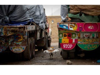 Portraits from Afghanistan