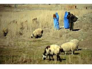 Portraits from Afghanistan