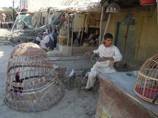 Portraits from Afghanistan