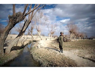 Portraits from Afghanistan