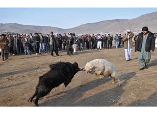 Portraits from Afghanistan