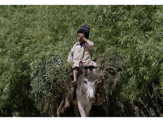 Portraits from Afghanistan