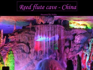 Reed flute cave - China Presented by Nubia 