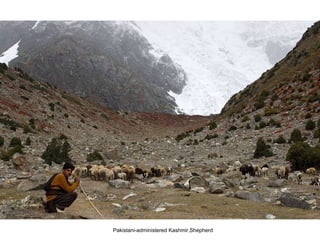 Pakistani-administered Kashmir,Shepherd  
