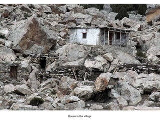 House in the village 