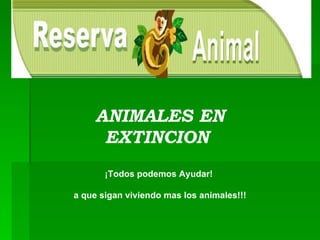 ANIMALES EN EXTINCION  ¡Todos podemos Ayudar!  a que sigan viviendo mas los animales!!! 