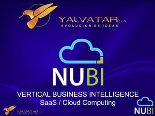 VERTICAL BUSINESS INTELLIGENCE
      SaaS / Cloud Computing
 