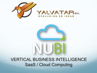VERTICAL BUSINESS INTELLIGENCE
      SaaS / Cloud Computing
 